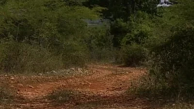 Lune de miel dans les Caraïbes (film porno) — capture 