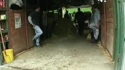 Dark-haired slut came to the farm to service the tired workers in every hole — screenshot 
