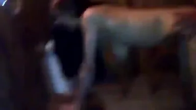 Skinny chick gets fucked by two men at home — screenshot 